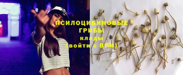 дживик Протвино