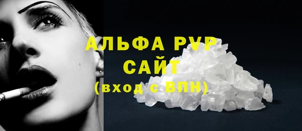 молекула духа Арсеньев