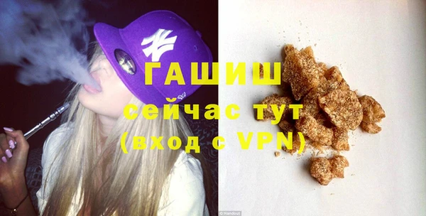 молекула духа Арсеньев