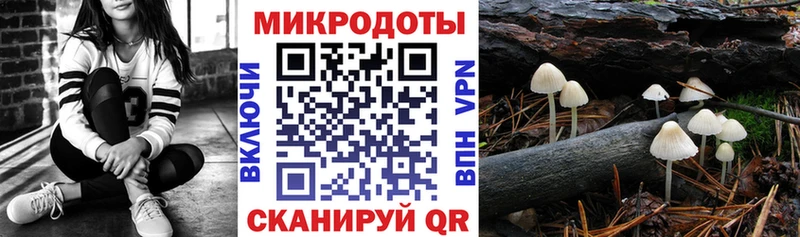 ОМГ ОМГ ссылка  Сарапул  Псилоцибиновые грибы Cubensis 